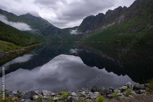 Fototapeta Naklejka Na Ścianę i Meble -  Wonderful landscapes in Norway. Senja, Nordland. Beautiful scenery of a valley with lupine flowers on the rocks. Mirror in the lake. Cloudy summer day. Fog and mountains in background. Selective focus
