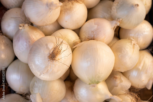 Organic white onion on the market - Allium cepa