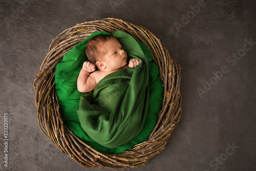 Wallpaper Mural A newborn in a green cloth in a wicker basket Torontodigital.ca