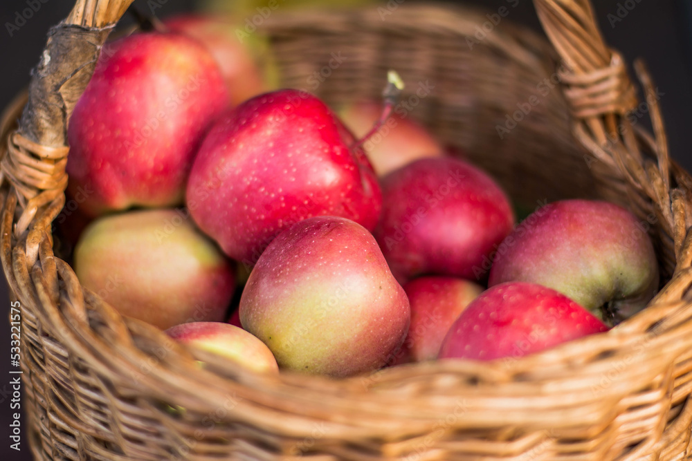 basket of apples basket of apples