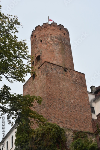 wieża gotyckiego zamku, Polska
