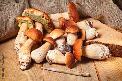 fresh picked porcini mushrooms, Boletus mushroom, ceps on wooden table.