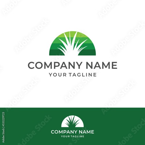 Modern Lawn Mower Logo Design