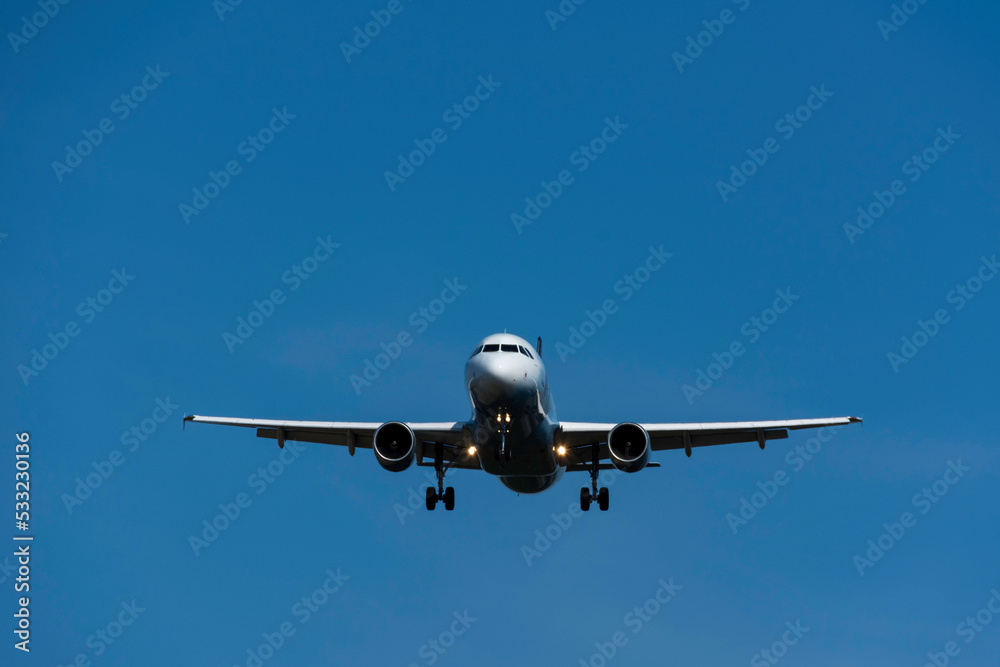 Commercial Passenger Airplane during Landing Procedure