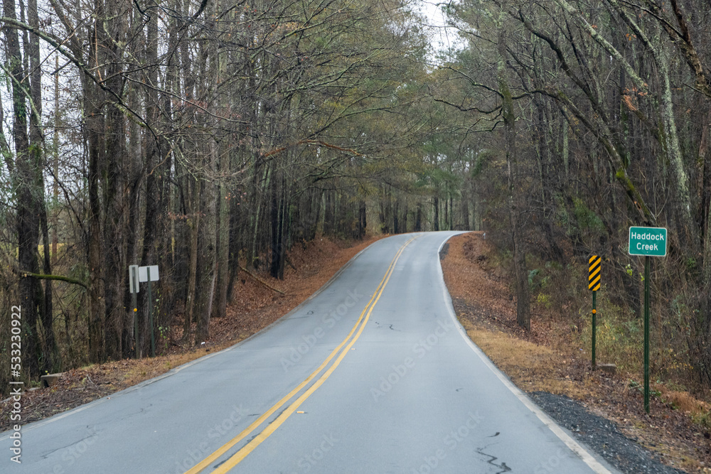 Fototapeta premium road in the woods