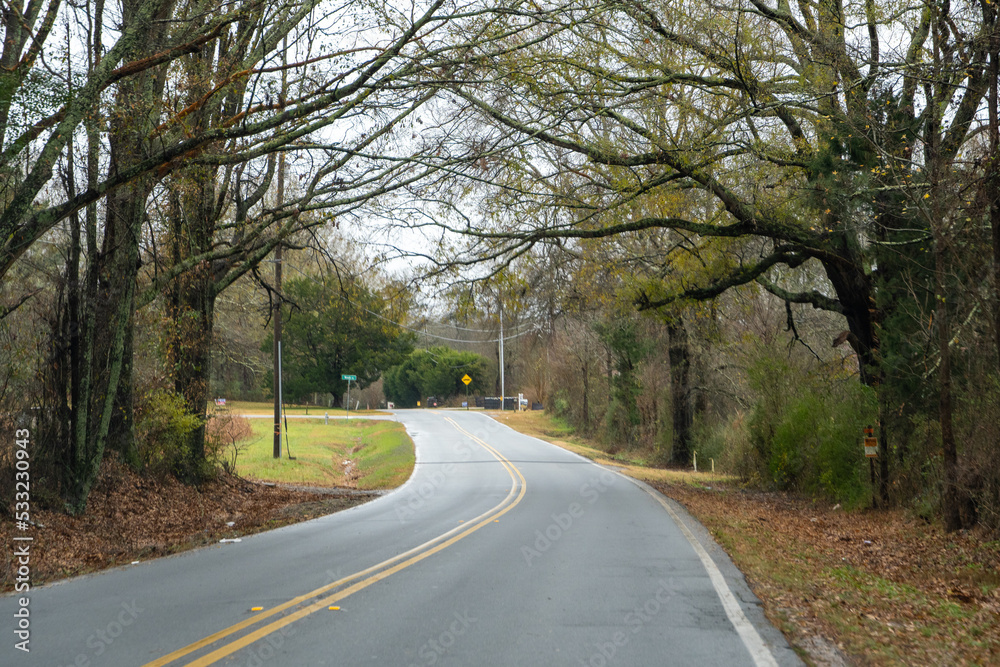 road in the woods