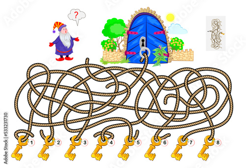 Best labyrinths. Help the wizard find the key to open the gate. Find the way. Logic puzzle game. Brain teaser book with maze. Kids activity sheet. Educational page. Play online. Vector illustration.