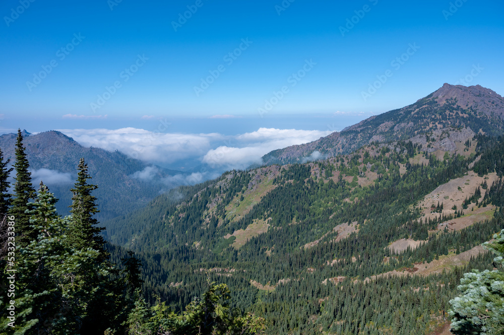 Clouds filling valley during cloud inversion seen from Hurricane Ridge in Olympic National Park, Washington on sunny autumn afternoon.