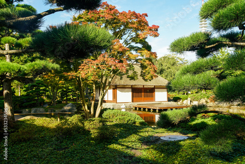 View on japanese garden . Pagoda ( tea house)  through trees( japanese maple) . Lovely early autumn in g! photo