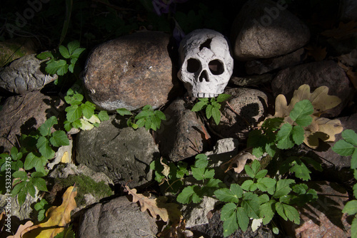 Ceramic skull in an old stone wall