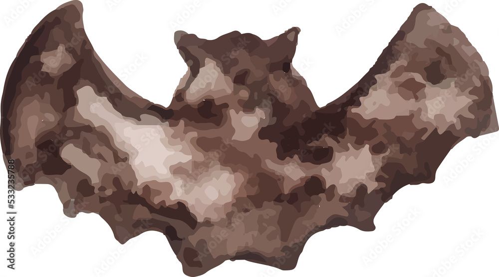 Obraz premium halloween bat silhouette