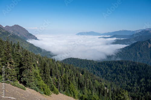 Clouds filling valley during cloud inversion seen from Hurricane Ridge in Olympic National Park, Washington on sunny autumn afternoon. © Francisco