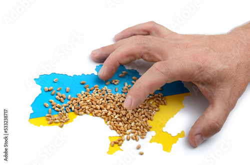 Ukrainian grain on blue-yellow flag under threat of occupation. Global food crisis concept due to war