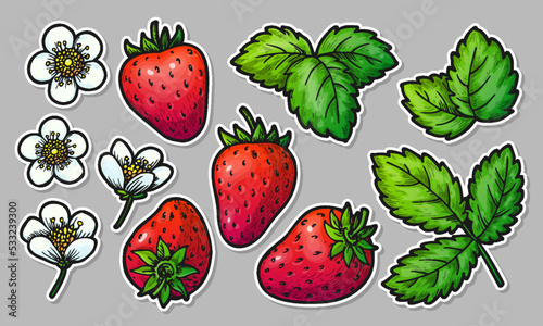 Strawberry hand drawn elements sticker set. Realistic whole red berries leaves and flowers. Healthy fresh sweet food. Cartoon craft farmers market patches for card print, badge pins, scrapbooking tag