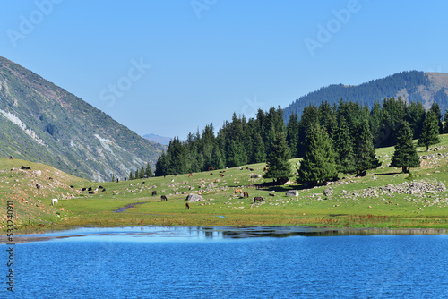 Tian-Shan scenery. Kyrgyzstan