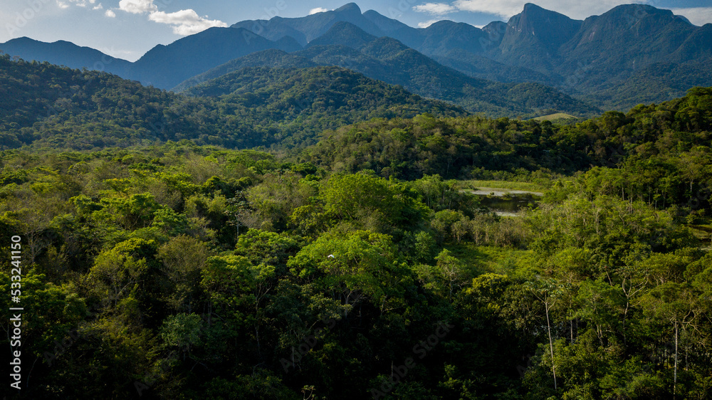 The exuberant Atlantic Forest within the protected area of the Guapiaçu Ecological Reserve, in the metropolitan region of Rio de Janeiro.