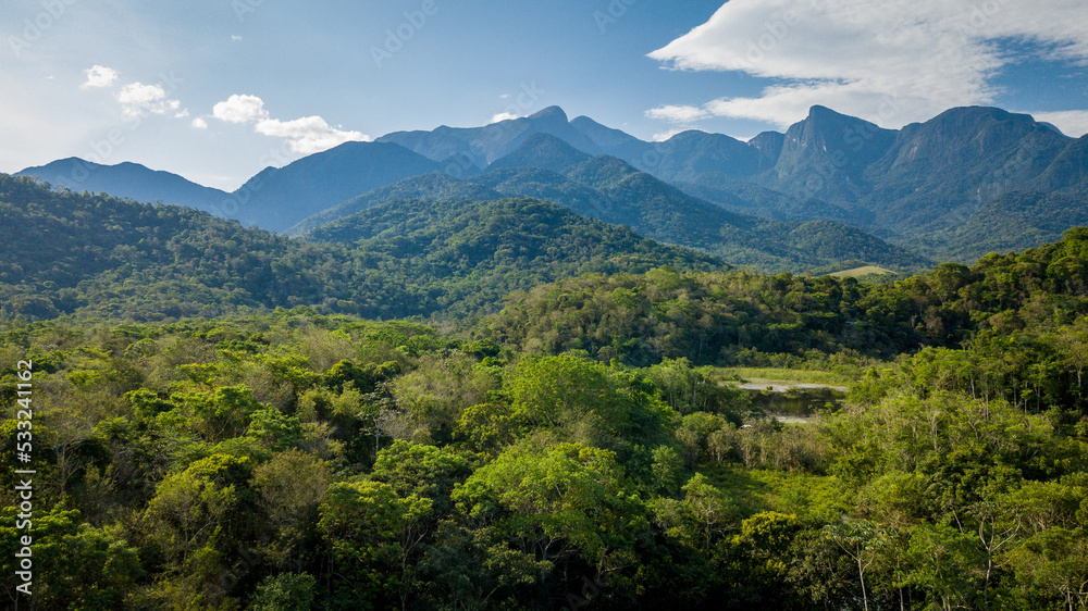 The exuberant Atlantic Forest within the protected area of the Guapiaçu Ecological Reserve, in the metropolitan region of Rio de Janeiro. The exuberant Atlantic Forest within the protected area of the Guapiaçu Ecological Reserve, in the metropolitan region of Rio de Janeiro.