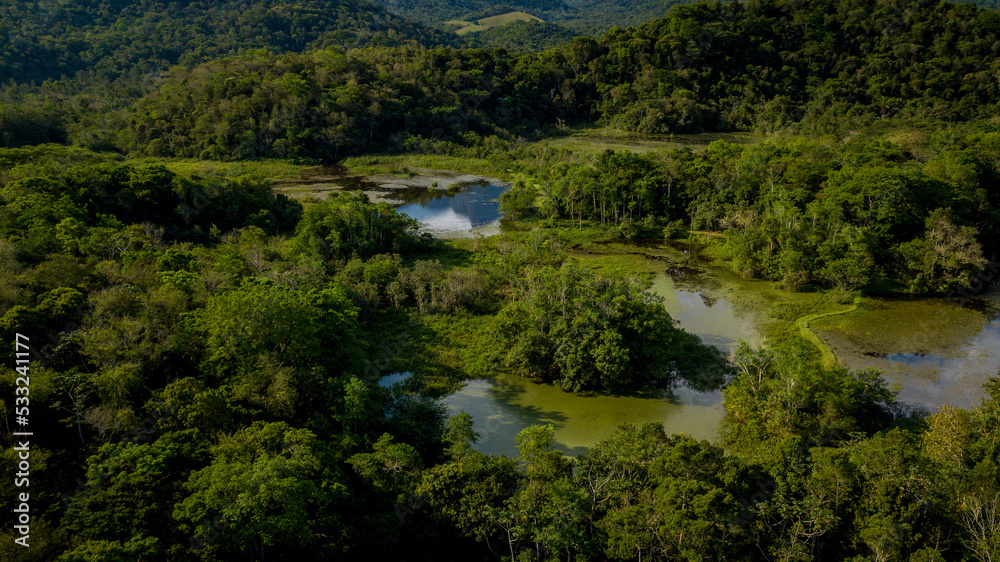 The exuberant Atlantic Forest within the protected area of the Guapiaçu Ecological Reserve, in the metropolitan region of Rio de Janeiro. The exuberant Atlantic Forest within the protected area of the Guapiaçu Ecological Reserve, in the metropolitan region of Rio de Janeiro.