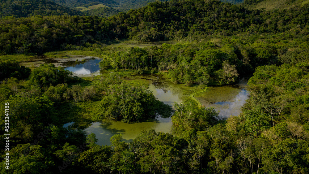 The exuberant Atlantic Forest within the protected area of the Guapiaçu Ecological Reserve, in the metropolitan region of Rio de Janeiro. The exuberant Atlantic Forest within the protected area of the Guapiaçu Ecological Reserve, in the metropolitan region of Rio de Janeiro.