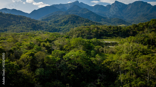 The exuberant Atlantic Forest within the protected area of the Guapia  u Ecological Reserve  in the metropolitan region of Rio de Janeiro.