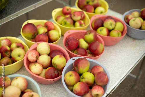 Apples on plates. Fruits in summer. Autumn harvest of apples. Yellow and red fruits. Healthy food.