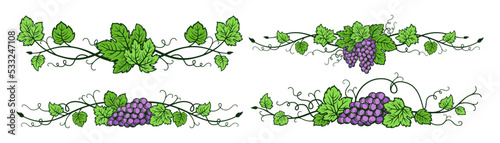 Grape vine divider bunches vintage set. Sketch hand drawn wine decorations border, floral grapes berry frame. Decorative elements antique vineyard ornament for packing vector design