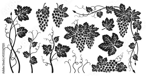 Grape bunches vine and leaves engraved set. Sketch ink hand drawn vintage outline wine grapes. Antique design berry. Sketches for wine packing, label, pattern, menu, invitation card, poster, cover