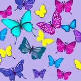 Group of Colorful Butterflies Background