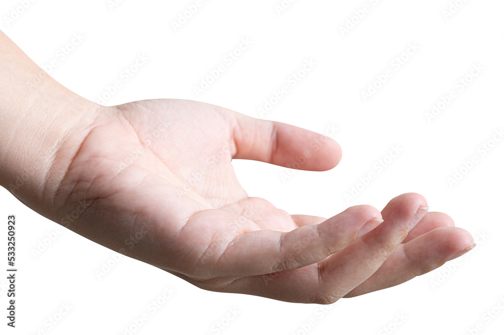 Women hand reach and ready to help or receive. Gesture isolated. Women hand reach and ready to help or receive. Gesture isolated.
