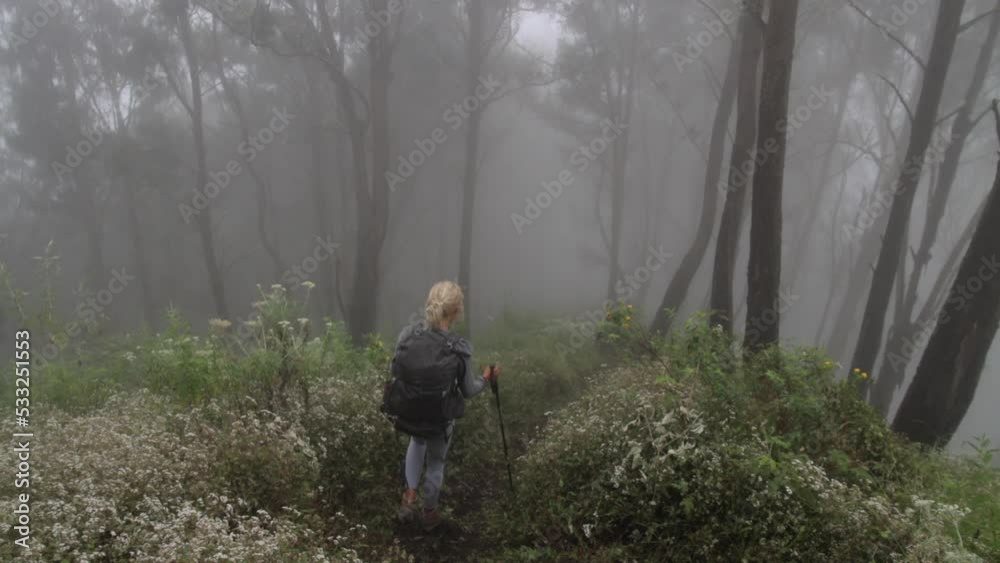 Blonde woman walking alone down the path on a slope between trees in a foggy forest Blonde woman walking alone down the path on a slope between trees in a foggy forest