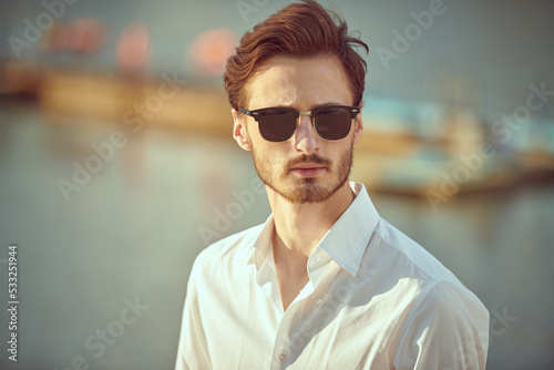 attractive brunet man © Andrey Kiselev