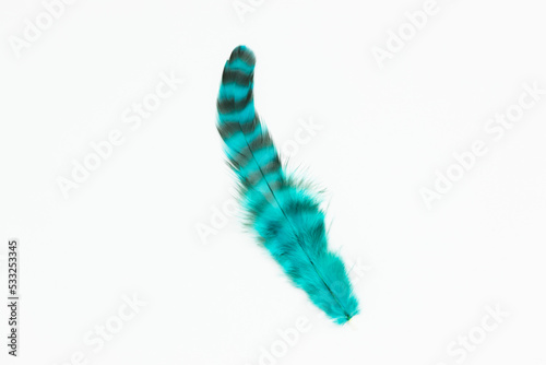 blue feather isolated on white background