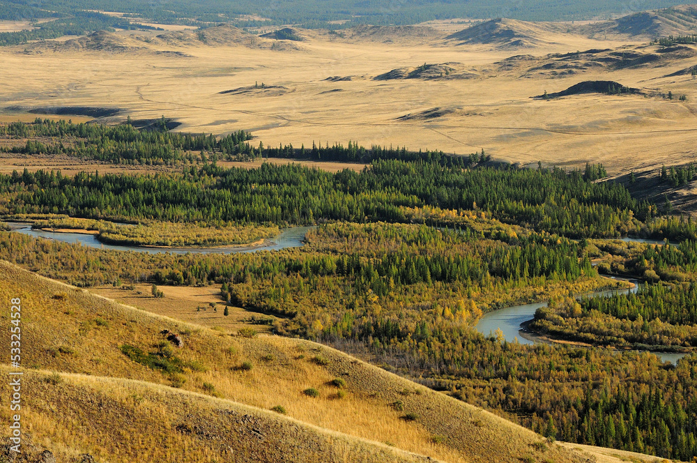 View from the top of the mountain to the autumn dry steppe and the flowing winding river with coniferous forest along the banks.