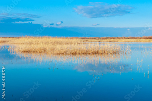 Calm wide river  fishing landscape. Reeds and kugai along the river bank.
