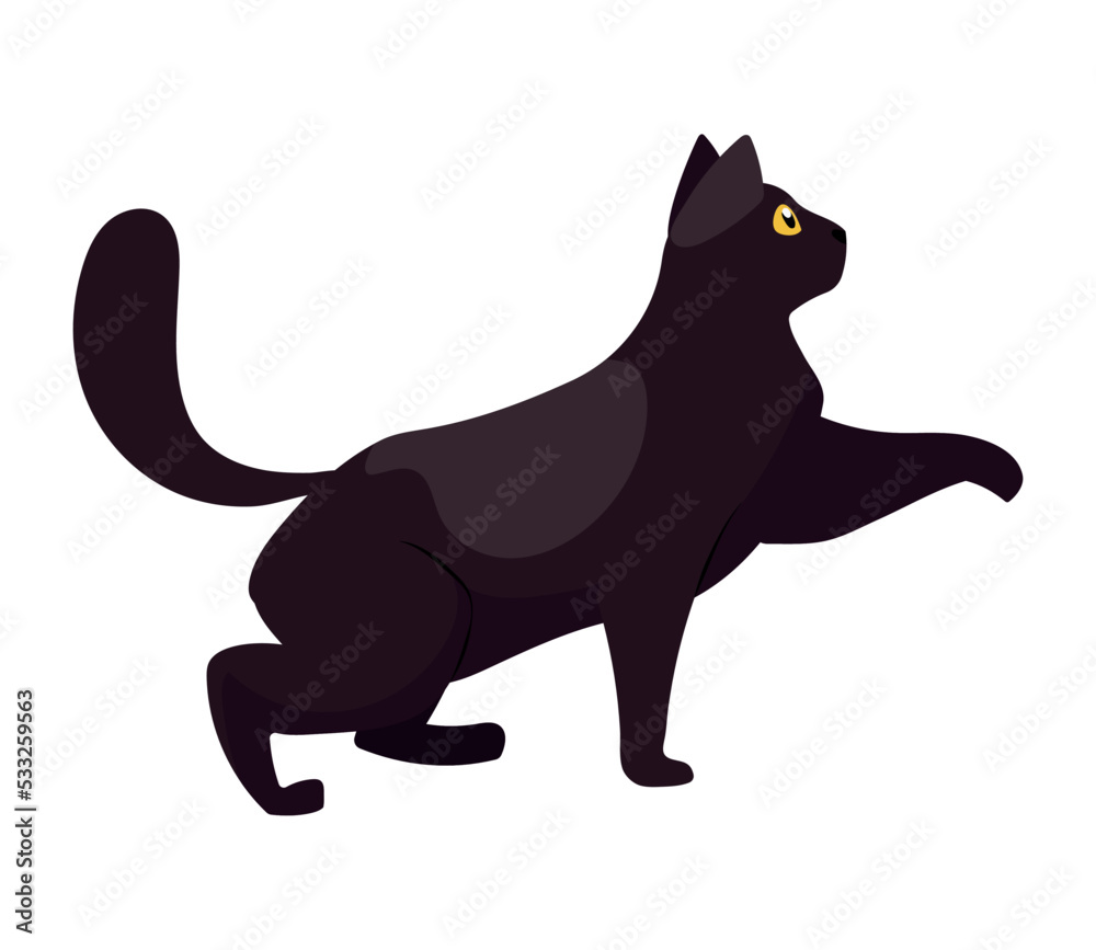 black cat mascot walking