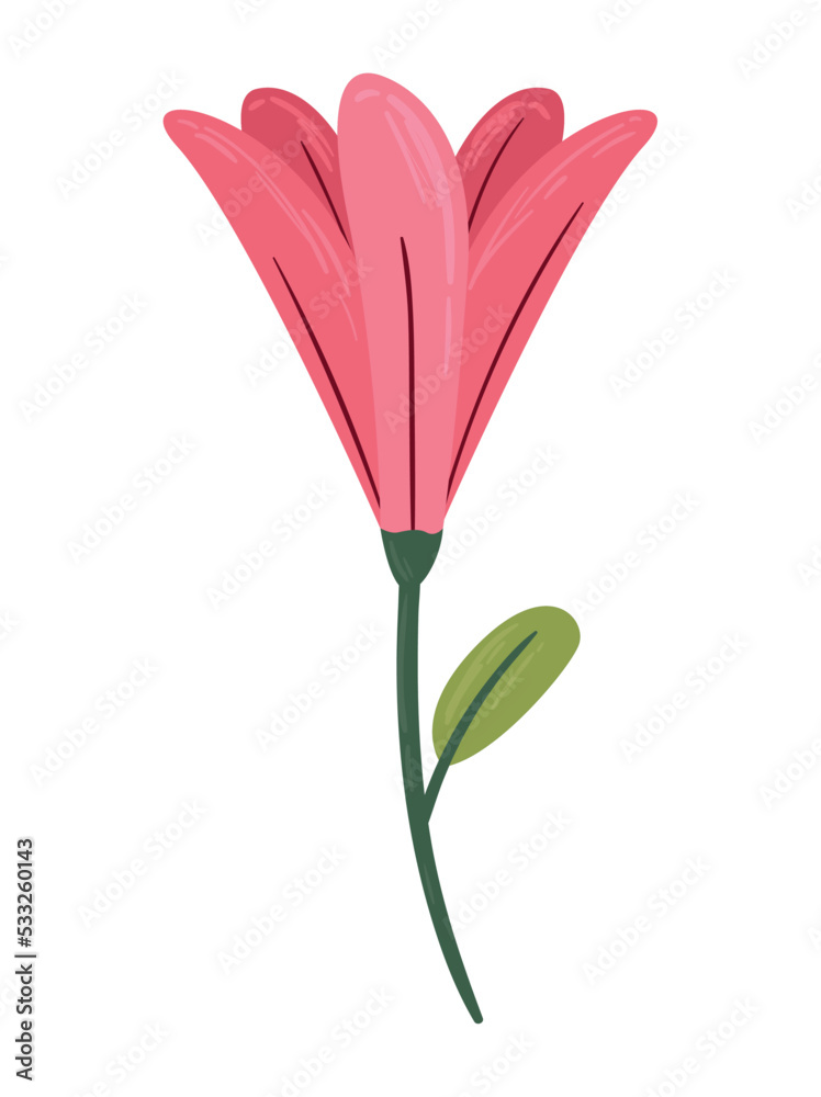flower color pink garden flower color pink garden