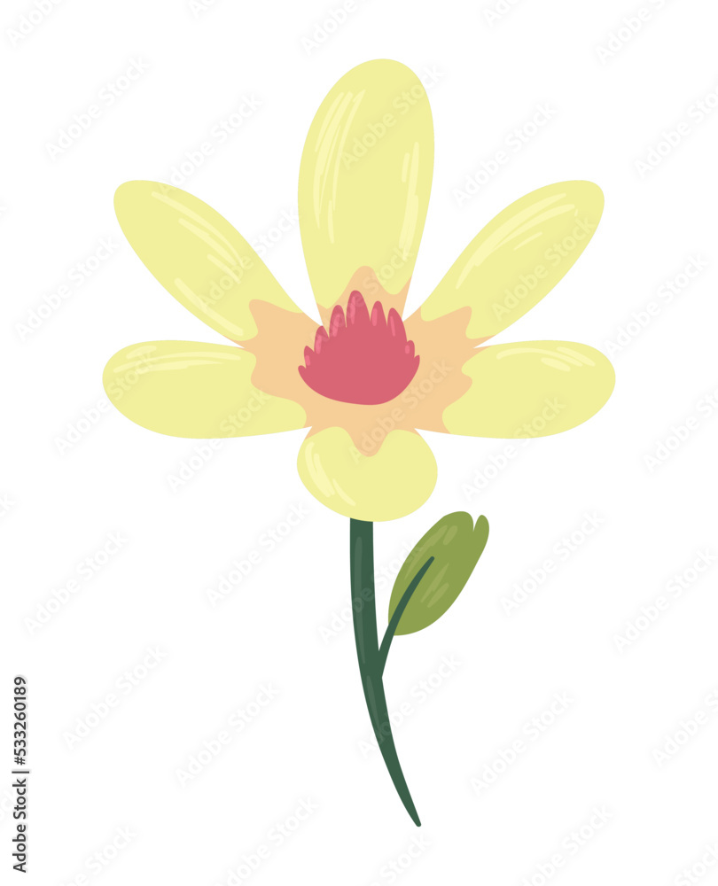yellow and red flower yellow and red flower