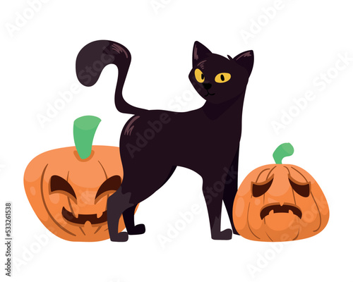 halloween cat with pumpkins © Jemastock
