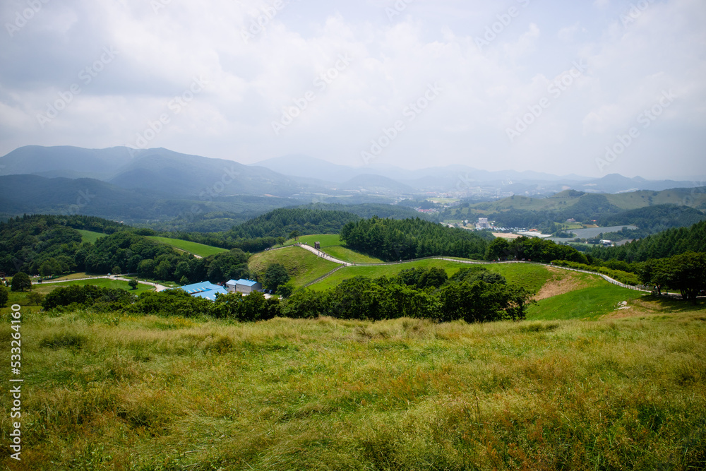 Obraz premium 양떼목장 목초지