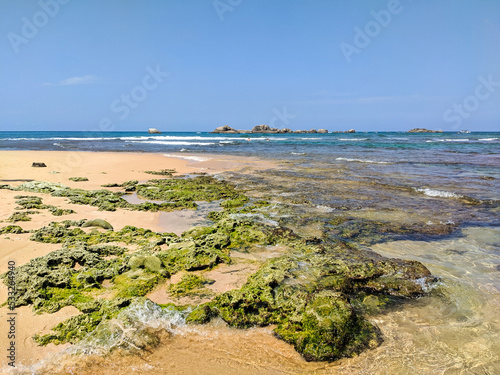 Hikkaduwa, Sri Lanka - March 8, 2022: Beautiful azure water of the Indian Ocean near the coral reef of Hikkaduwa beach. Stones and green algae are visible at low tide in the ocean. Copy space