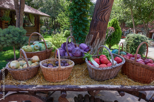 Fruits and vegetables in baskets. Green and red apples  pears  plums and watermelons  tomatoes  celery and cabbage are stacked in wicker baskets among straw on a cart. Selective focus.