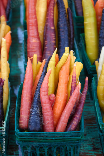 Colourful Carrots3 photo