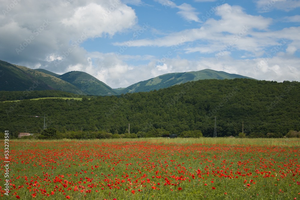 Beautiful rural landscape near Norcia in Umbria during spring season Italy