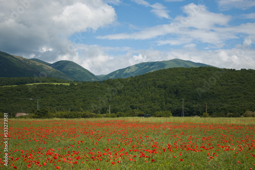Beautiful rural landscape near Norcia in Umbria during spring season Italy