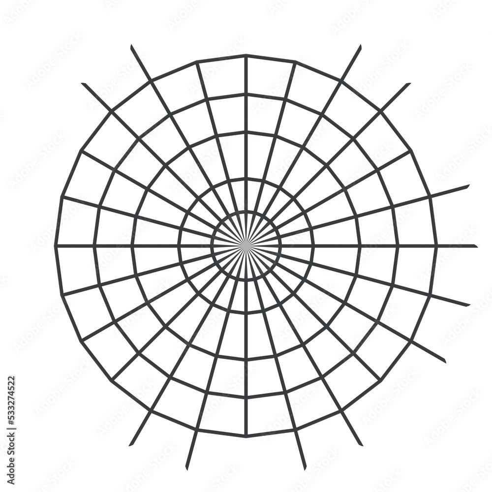 Obraz premium Black spider web for Halloween decoration.