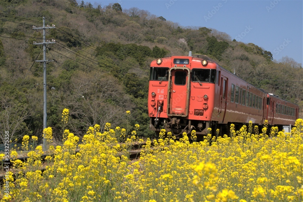 芸備線の気動車 芸備線の気動車