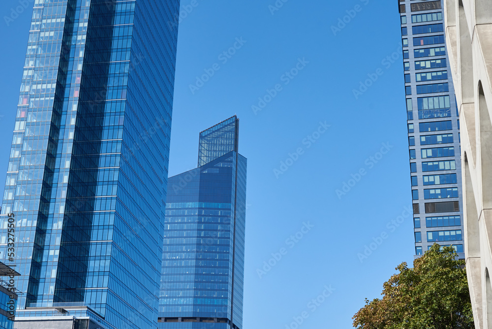 Modern city architecture, Skyscraper glass facade with green tree, Business administrative building