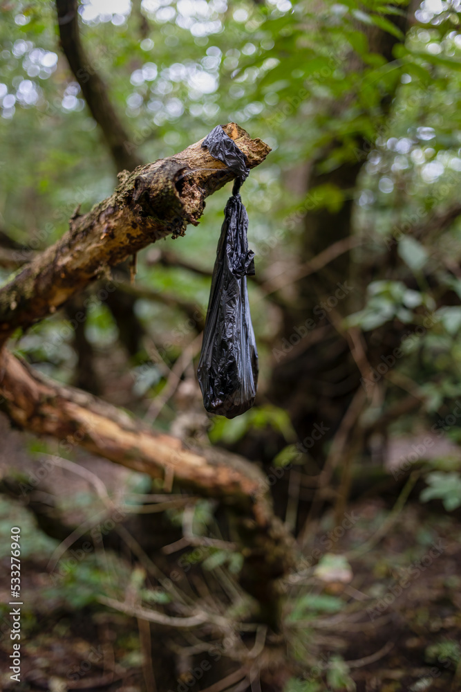 Discarded black dog poo bag, left hanging on a tree branch on Wimbledon Common, London Discarded black dog poo bag, left hanging on a tree branch on Wimbledon Common, London