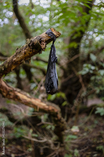 Discarded black dog poo bag, left hanging on a tree branch on Wimbledon Common, London
