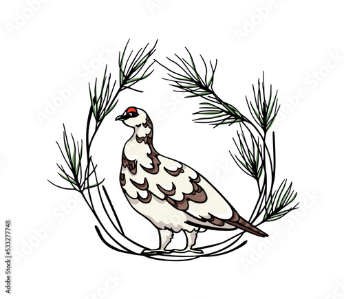 Vector card with hand drawn graceful motley rock ptarmigan in floral pine wreath. Ink drawing, decorative graphic style. Beautiful animal design elements, northern destinations travel poster